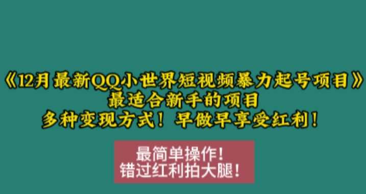 12月最新QQ小世界短视频暴力起号项目，最适合新手的项目，多种变现方式-蓝天项目网