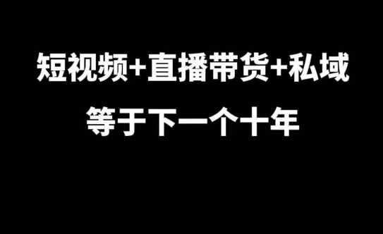 短视频+直播带货+私域等于下一个十年，大佬7年实战经验总结-蓝天项目网