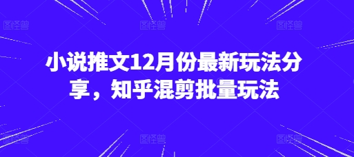 小说推文12月份最新玩法分享，知乎混剪批量玩法-蓝天项目网