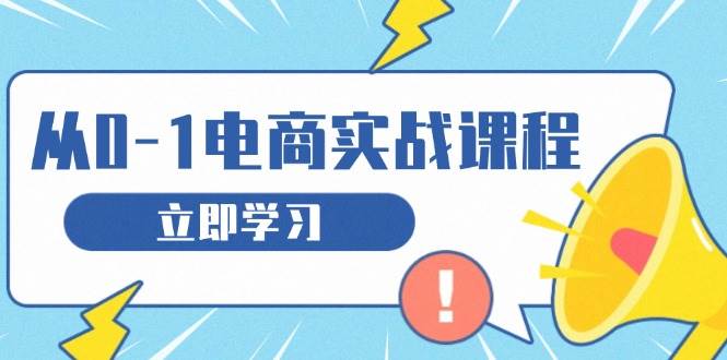 （13594期）从零做电商实战课程，教你如何获取访客、选品布局，搭建基础运营团队-蓝天项目网