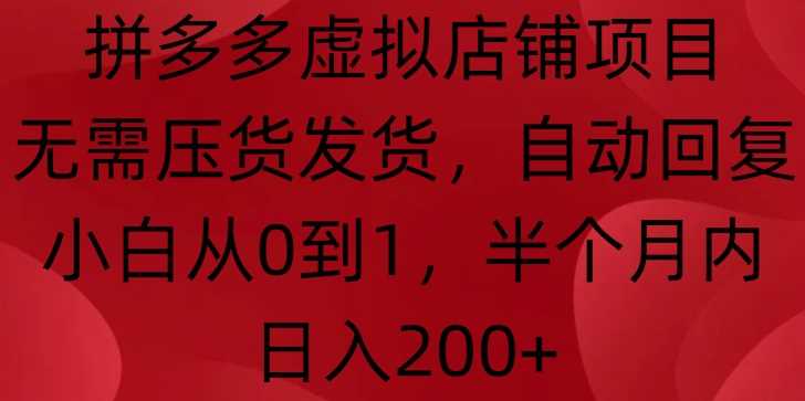 拼多多虚拟店铺项目，无需压货发货，自动回复，小白从0到1，半个月内日入200+【揭秘】-蓝天项目网