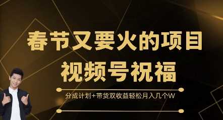 春节又要火的项目视频号祝福，分成计划+带货双收益，轻松月入几个W【揭秘】-蓝天项目网