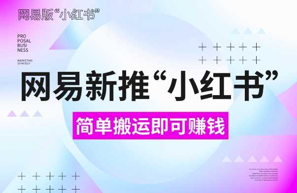 网易官方新推“小红书”，搬运即有收益，新手小白千万别错过(附详细教程)【揭秘】-蓝天项目网