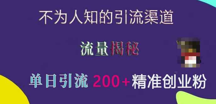 不为人知的引流渠道，流量揭秘，实测单日引流200+精准创业粉【揭秘】-蓝天项目网