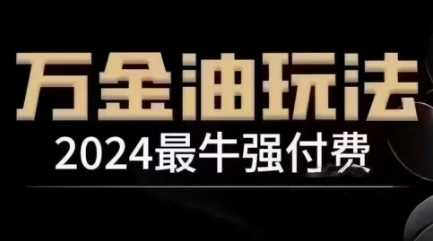 2024最牛强付费，万金油强付费玩法，干货满满，全程实操起飞（更新12月）-蓝天项目网