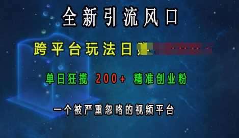 全新引流风口，跨平台玩法日入上k，单日狂揽200+精准创业粉，一个被严重忽略的视频平台-蓝天项目网