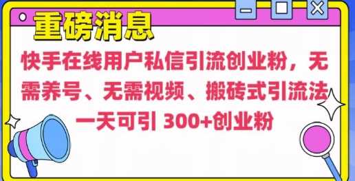 快手最新引流创业粉方法，无需养号、无需视频、搬砖式引流法【揭秘】-蓝天项目网