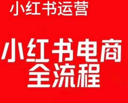 红薯电商实操课，小红书电商全流程-蓝天项目网