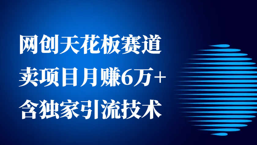 网创天花板赛道，卖项目月赚6万+，含独家引流技术（共26节课）-蓝天项目网