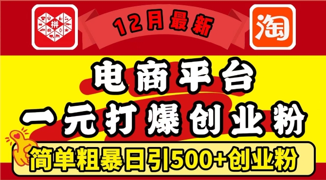 12月最新：电商平台1元打爆创业粉，简单粗暴日引500+精准创业粉，轻松月入过W【揭秘】-蓝天项目网