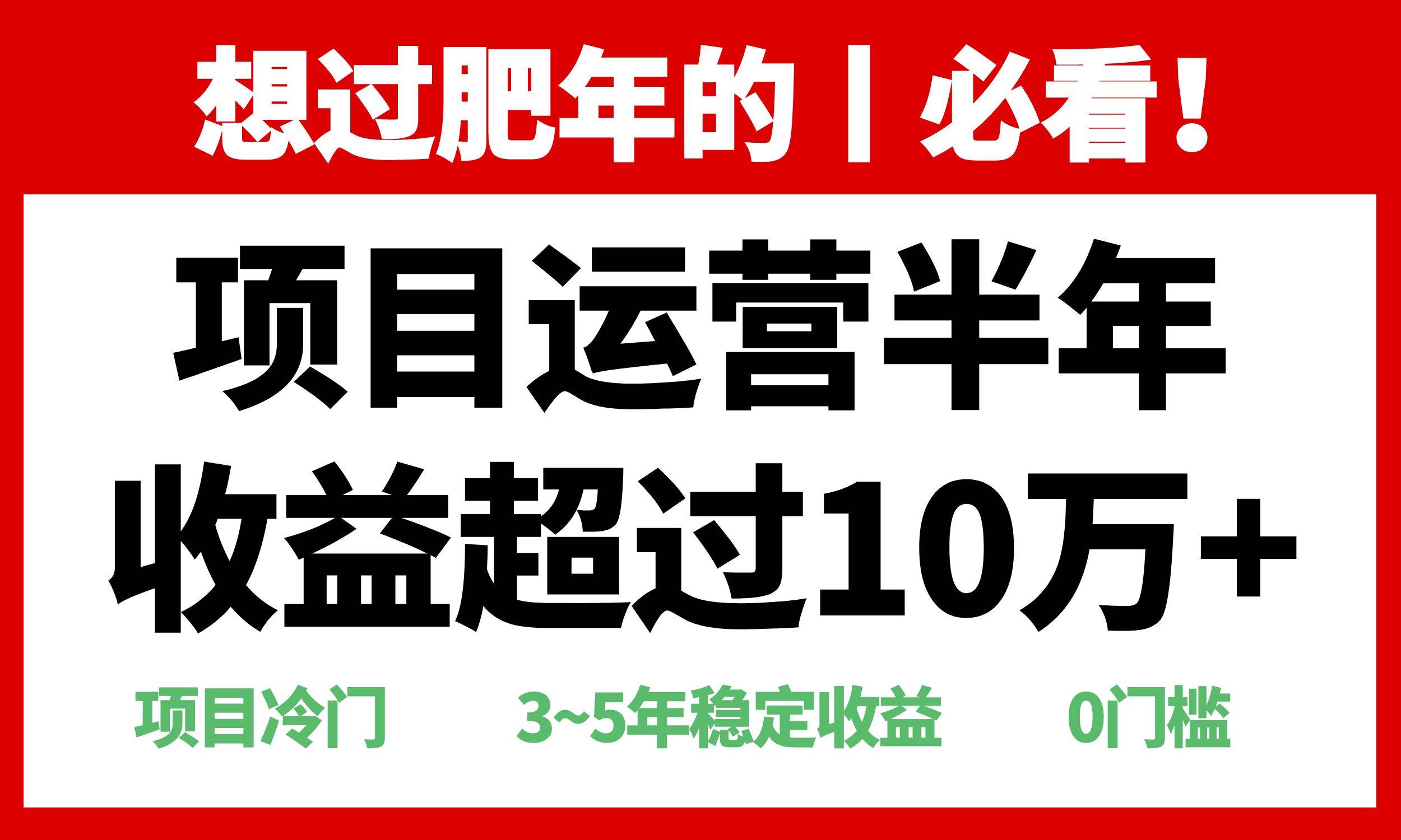 （13663期）年前过肥年的必看的超冷门项目，半年收益超过10万+，-蓝天项目网