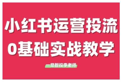 小红书运营投流，小红书广告投放从0到1的实战课，学完即可开始投放-蓝天项目网