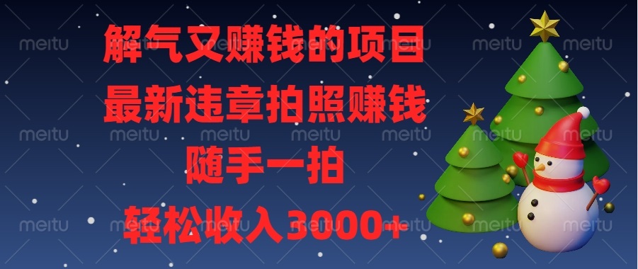 （13686期）解气又赚钱的项目，最新违章拍照赚钱，随手一拍，轻松收入3000+-蓝天项目网