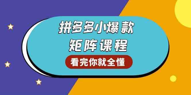 拼多多爆款矩阵课程：教你测出店铺爆款，优化销量，提升GMV，打造爆款群-蓝天项目网