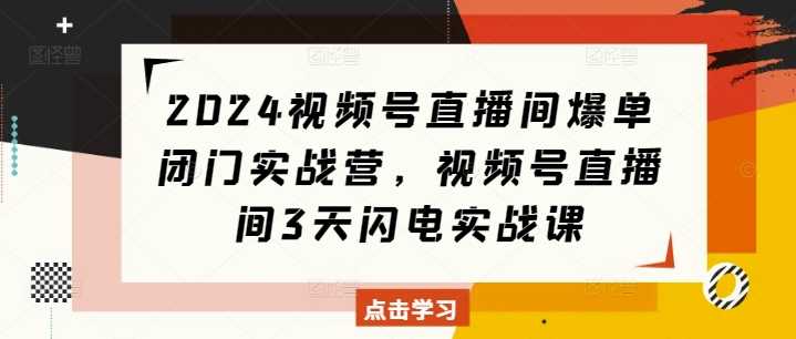 2024视频号直播间爆单闭门实战营，视频号直播间3天闪电实战课-蓝天项目网