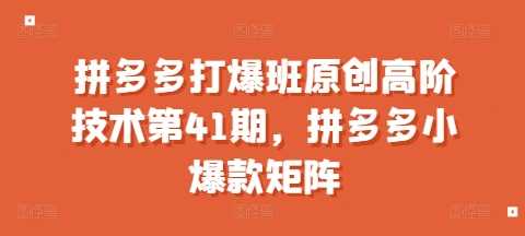 拼多多打爆班原创高阶技术第41期，拼多多小爆款矩阵-蓝天项目网