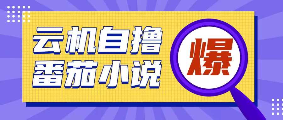 首发云手机自撸小说玩法，10块钱成本可撸200+收益操作简单【揭秘】-蓝天项目网