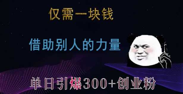 仅需一块钱，借助别人的力量，单日引爆300+创业粉、兼职粉【揭秘】-蓝天项目网