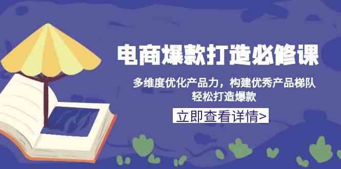 电商爆款打造必修课：多维度优化产品力，构建优秀产品梯队，轻松打造爆款-蓝天项目网