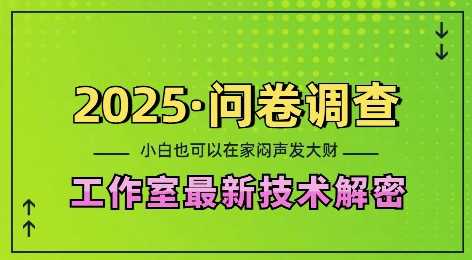 2025问卷调查最新工作室技术解密：一个人在家也可以闷声发大财，小白一天2张，可矩阵放大【揭秘】-蓝天项目网