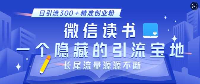 微信读书，一个隐藏的引流宝地，不为人知的小众打法，日引流300+精准创业粉，长尾流量源源不断-蓝天项目网