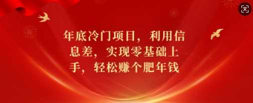 年底冷门项目，利用信息差，实现零基础上手，轻松赚个肥年钱【揭秘】-蓝天项目网