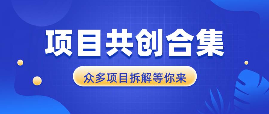 （13778期）项目共创合集，从0-1全过程拆解，让你迅速找到适合自已的项目-蓝天项目网