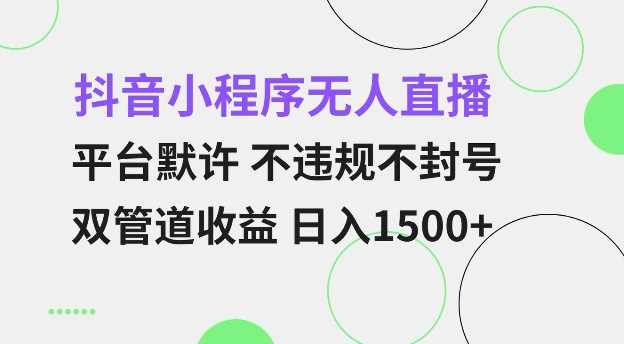 抖音小程序无人直播 平台默许 不违规不封号 双管道收益 日入多张 小白也能轻松操作【仅揭秘】-蓝天项目网