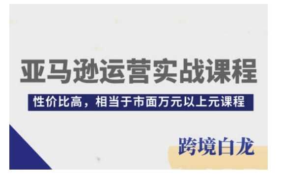 亚马逊运营实战课程，亚马逊从入门到精通，性价比高，相当于市面万元以上元课程-蓝天项目网