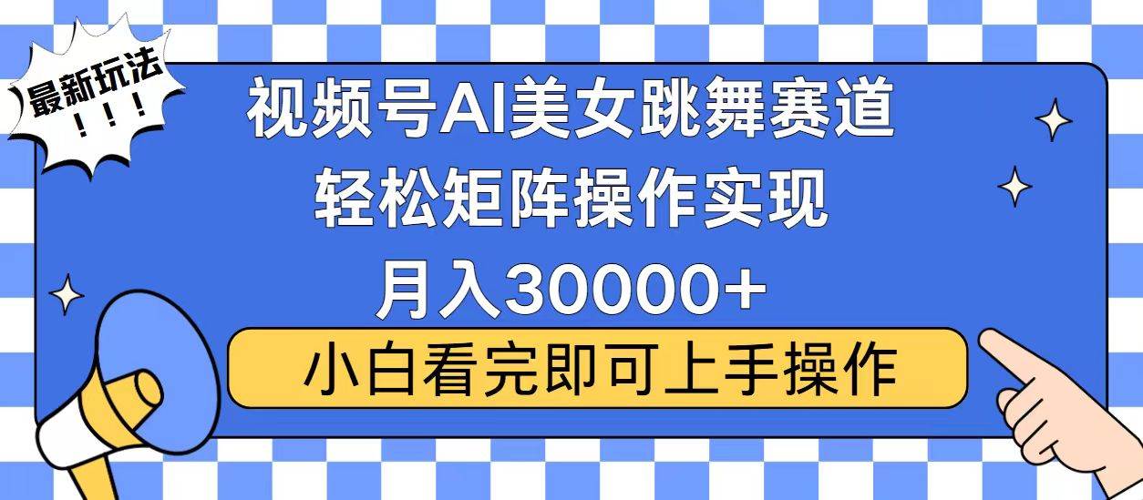 （13813期）视频号蓝海赛道玩法，当天起号，拉爆流量收益，小白也能轻松月入30000+-蓝天项目网