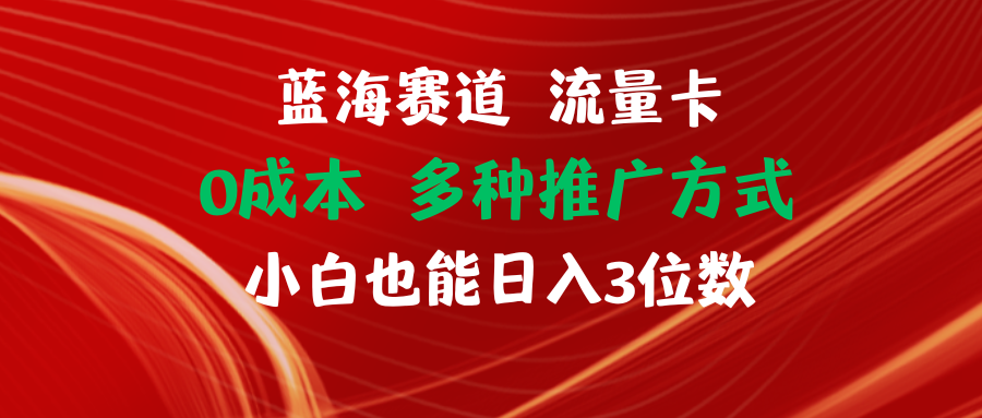 【站长实操】蓝海赛道 流量卡 0成本 小白也能日入三位数-蓝天项目网