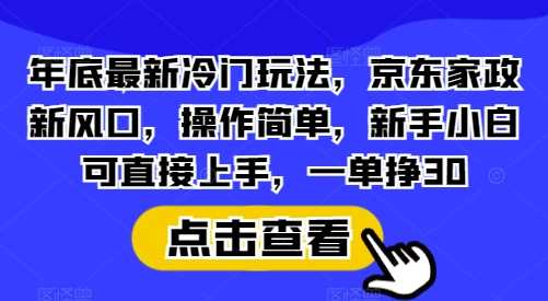 年底最新冷门玩法，京东家政新风口，操作简单，新手小白可直接上手，一单挣30【揭秘】-蓝天项目网