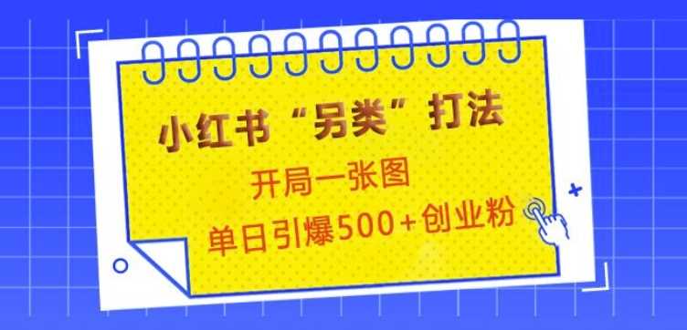 小红书“另类”打法，开局一张图，单日引爆500+精准创业粉【揭秘】-蓝天项目网