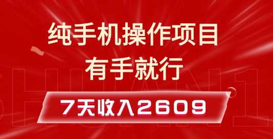 纯手机操作的小项目，有手就能做，7天收入2609+实操教程【揭秘】-蓝天项目网