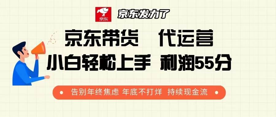 （13833期）京东带货 代运营 利润55分 告别年终焦虑 年底不打烊 持续现金流-蓝天项目网