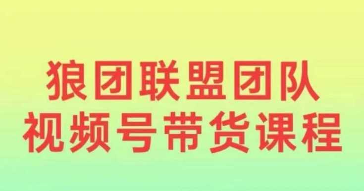 狼团联盟2024视频号带货，0基础小白快速入局视频号-蓝天项目网