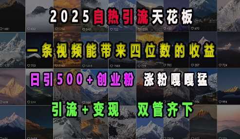 2025自热引流天花板，一条视频能带来四位数的收益，引流+变现双管齐下，日引500+创业粉，涨粉嘎嘎猛-蓝天项目网