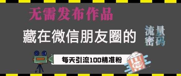 藏在微信朋友圈的流量密码，无需发布作品，单日引流100+精准创业粉【揭秘】-蓝天项目网