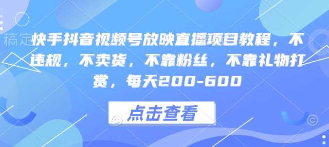 快手抖音视频号放映直播项目教程，不违规，不卖货，不靠粉丝，不靠礼物打赏，每天200-600-蓝天项目网