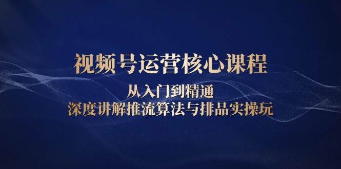 视频号运营核心课程，从入门到精通，深度讲解推流算法与排品实操玩-蓝天项目网