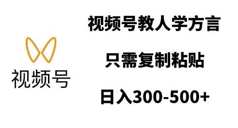 视频号教人学方言，只需复制粘贴，日入多张-蓝天项目网