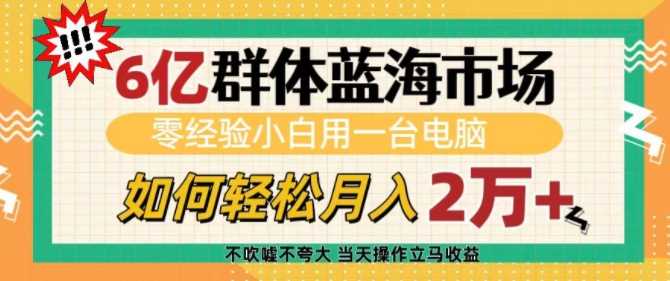 6亿群体蓝海市场，零经验小白用一台电脑，如何轻松月入过w【揭秘】-蓝天项目网