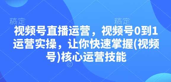 视频号直播运营，视频号0到1运营实操，让你快速掌握(视频号)核心运营技能-蓝天项目网