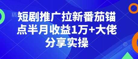 短剧推广拉新番茄锚点半月收益1万+大佬分享实操-蓝天项目网