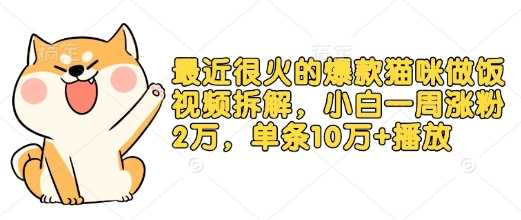 最近很火的爆款猫咪做饭视频拆解，小白一周涨粉2万，单条10万+播放(附保姆级教程)-蓝天项目网