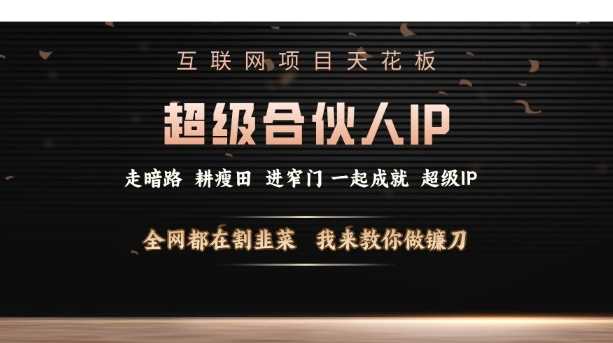 互联网项目天花板，超级合伙人IP，全网都在割韭菜，我来教你做镰刀【仅揭秘】-蓝天项目网