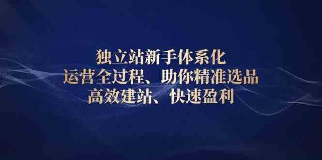 独立站新手体系化 运营全过程，助你精准选品、高效建站、快速盈利-蓝天项目网