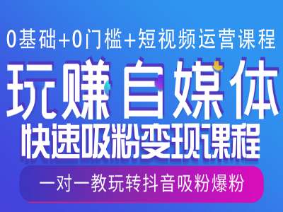 0基础+0门槛+短视频运营课程，玩赚自媒体快速吸粉变现课程，一对一教玩转抖音吸粉爆粉-蓝天项目网