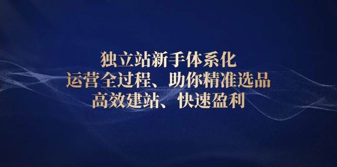 （13914期）独立站新手体系化 运营全过程，助你精准选品、高效建站、快速盈利-蓝天项目网