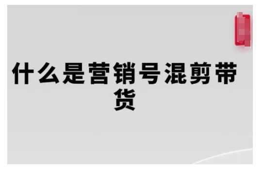 营销号混剪带货，从内容创作到流量变现的全流程，教你用营销号形式做混剪带货-蓝天项目网